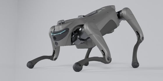 Intelligent Robot Dog With 2D LiDAR L1 Automatic Telescopic Handle Strap For Autonomous Navigation And Mapping