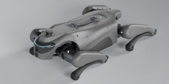 Intelligent Robot Dog With 2D LiDAR L1 Automatic Telescopic Handle Strap For Autonomous Navigation And Mapping