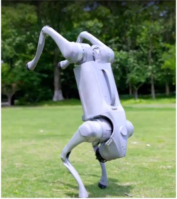 Meet Your Perfect Companion Voice AI Large Model Robot Dog Compatible with Android and iOS