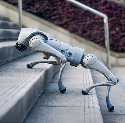 Meet Your Perfect Companion Voice AI Large Model Robot Dog Compatible with Android and iOS
