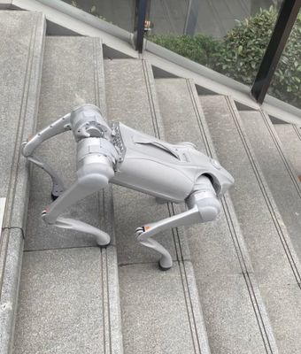 Meet Your Perfect Companion Voice AI Large Model Robot Dog Compatible with Android and iOS