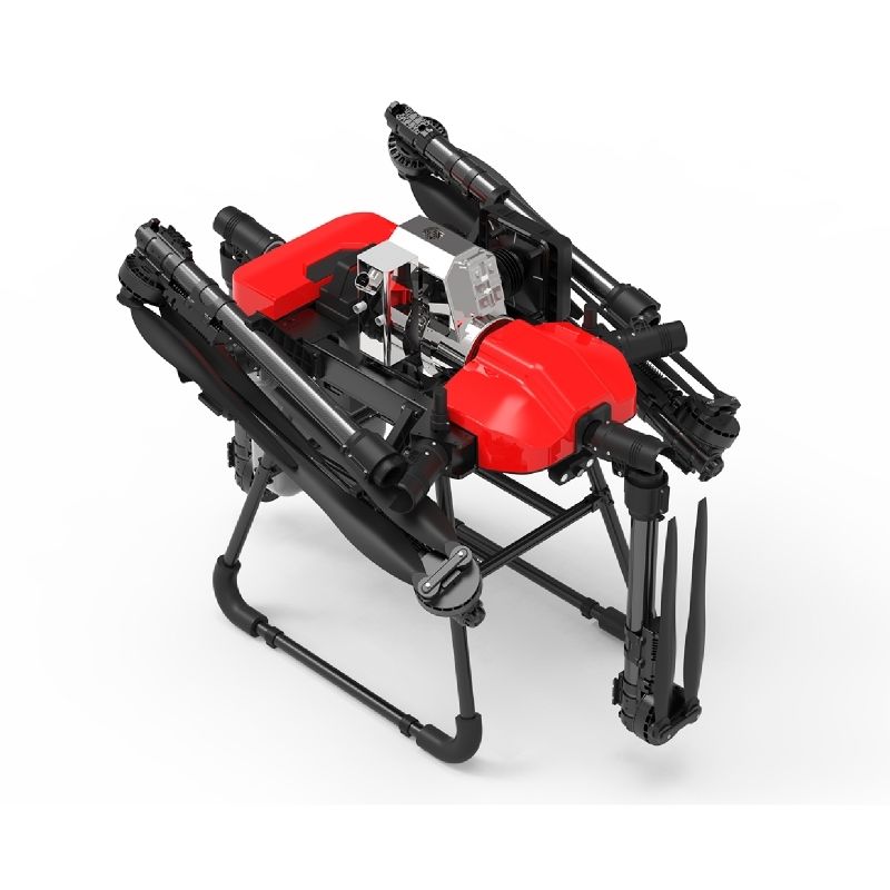 Customized model