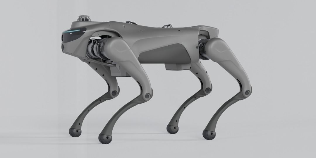 Intelligent Robot Dog With 2D LiDAR L1 Automatic Telescopic Handle Strap For Autonomous Navigation And Mapping