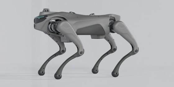 Intelligent Robot Dog With 2D LiDAR L1 Automatic Telescopic Handle Strap For Autonomous Navigation And Mapping